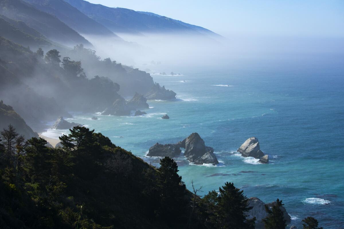 A misty view of the ocean from tree-covered cliffs