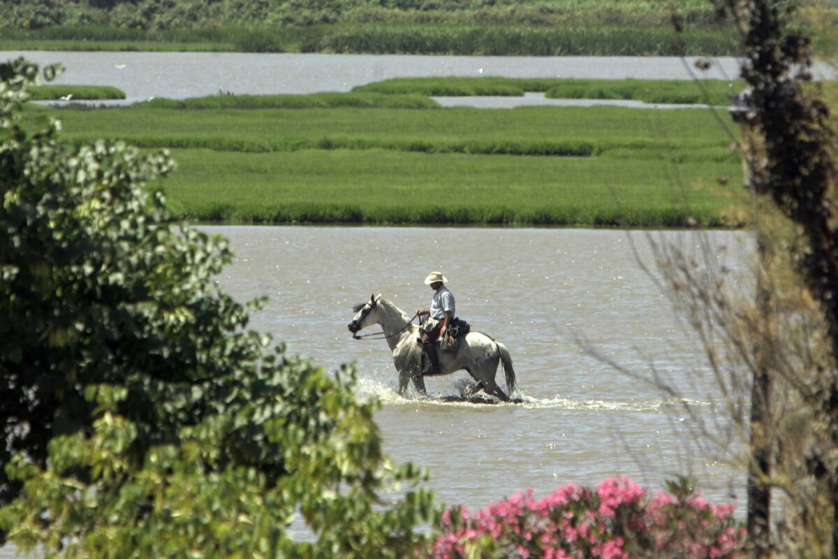 FILE - A man rides a horse during a round-up of wild horses in the Donana National Park near the small southern village of Almonte, Spain, June 26, 2007. The European Union has criticized a plan by lawmakers in southern Spain to expand irrigation rights for farmers near one of Europe's largest wetlands. The government of the Andalusia region wants to grant water rights to farmers on 1,460 hectares (3,607 acres) of land near the Donana National Park, which the United Nations cultural agency has designated as a World Heritage site and a biosphere reserve. (AP Photo/Manu Fernandez, File)