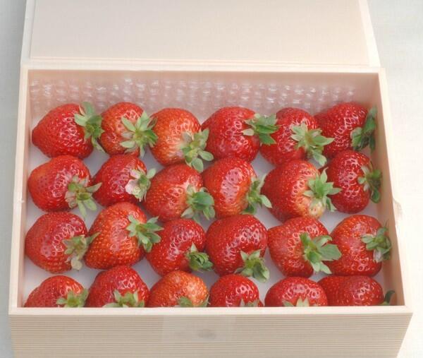 Amaou strawberries