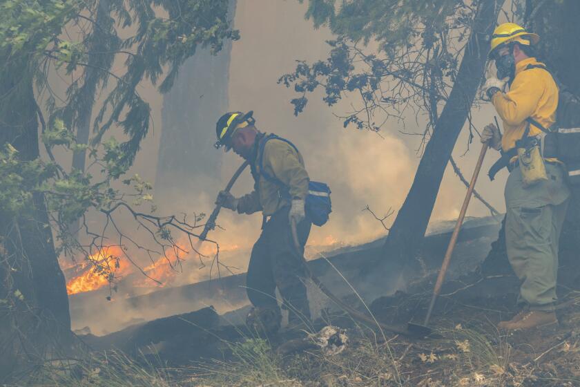 Bomberos tratan de contener el incendio Park junto a la autopista 32 cerca de Forest Ranch, California, el domingo 28 de julio de 2024. (AP Foto/Nic Coury)