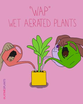 25 best plant memes of 2020 - Los Angeles Times