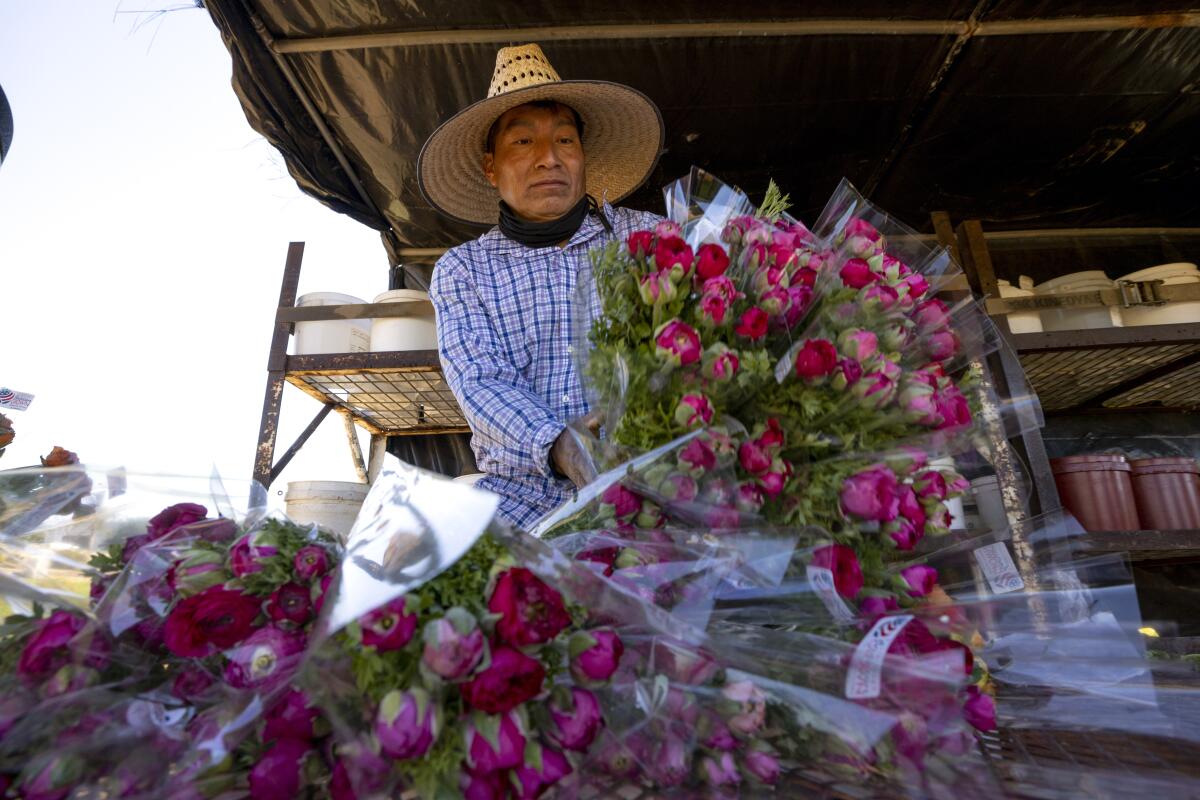 In Season at the Flower Market this March