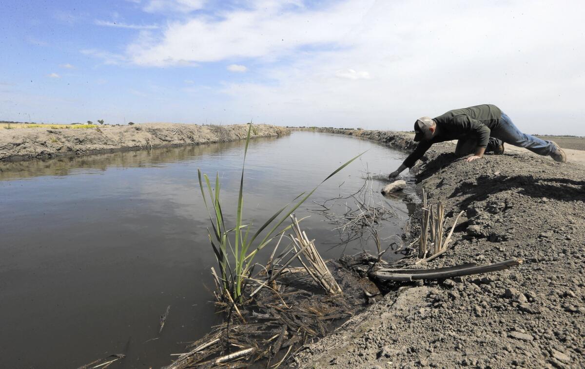 A farmer near Stockton checks the salinity in an irrigation canal that draws water from the Sacramento-San Joaquin River Delta. Gov. Gavin Newsom's proposed single tunnel could help ameliorate water quality problems in the delta — or make them worse.