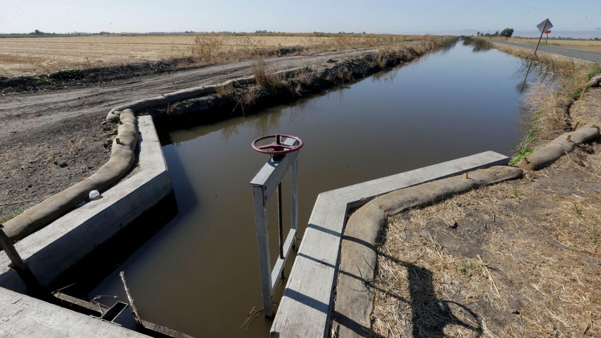 Water flows in a canal near Byron, Calif. on July 15, 2015.