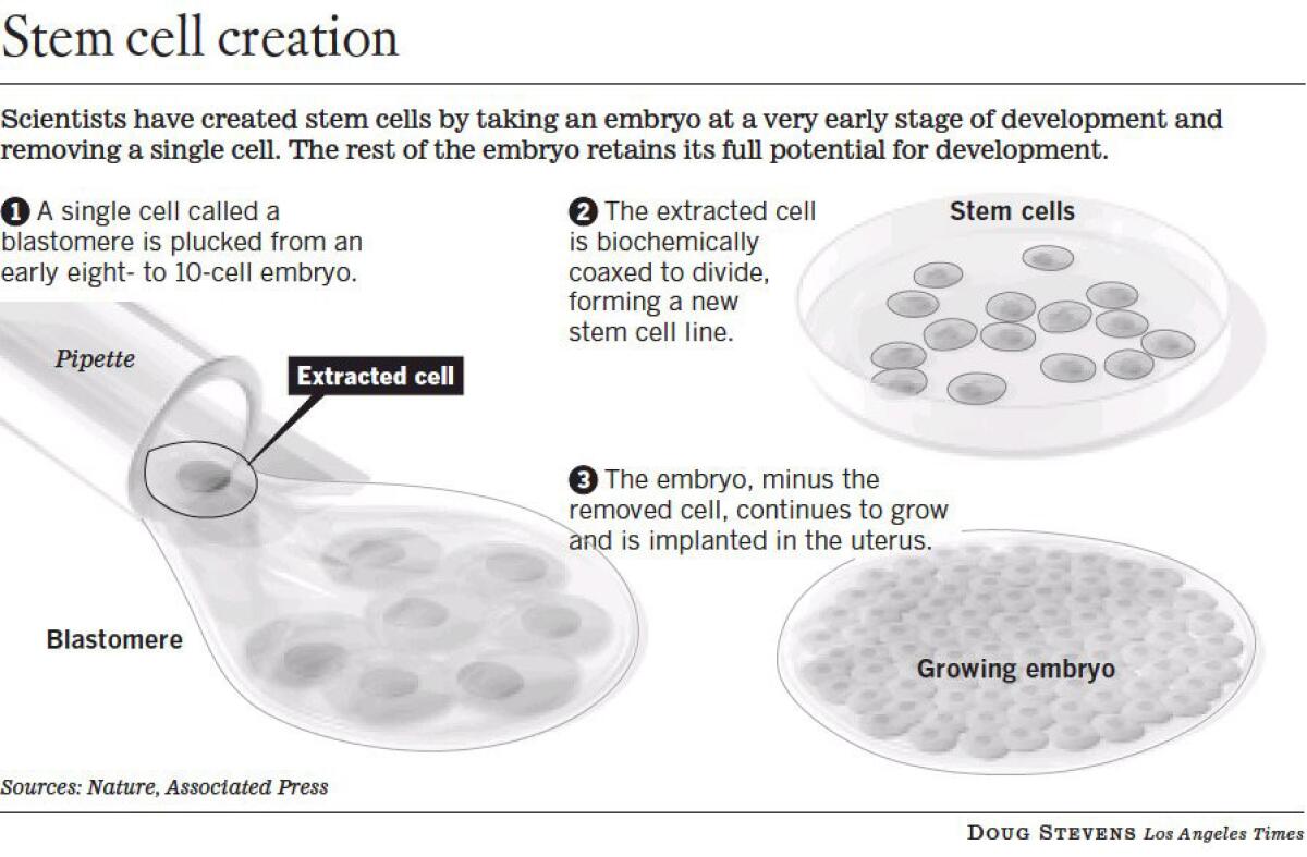Scientists created embryonic stem cells using a biopsy method that allows an embryo to keep developing.