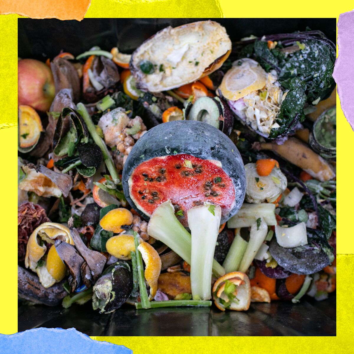 A pile of composted food