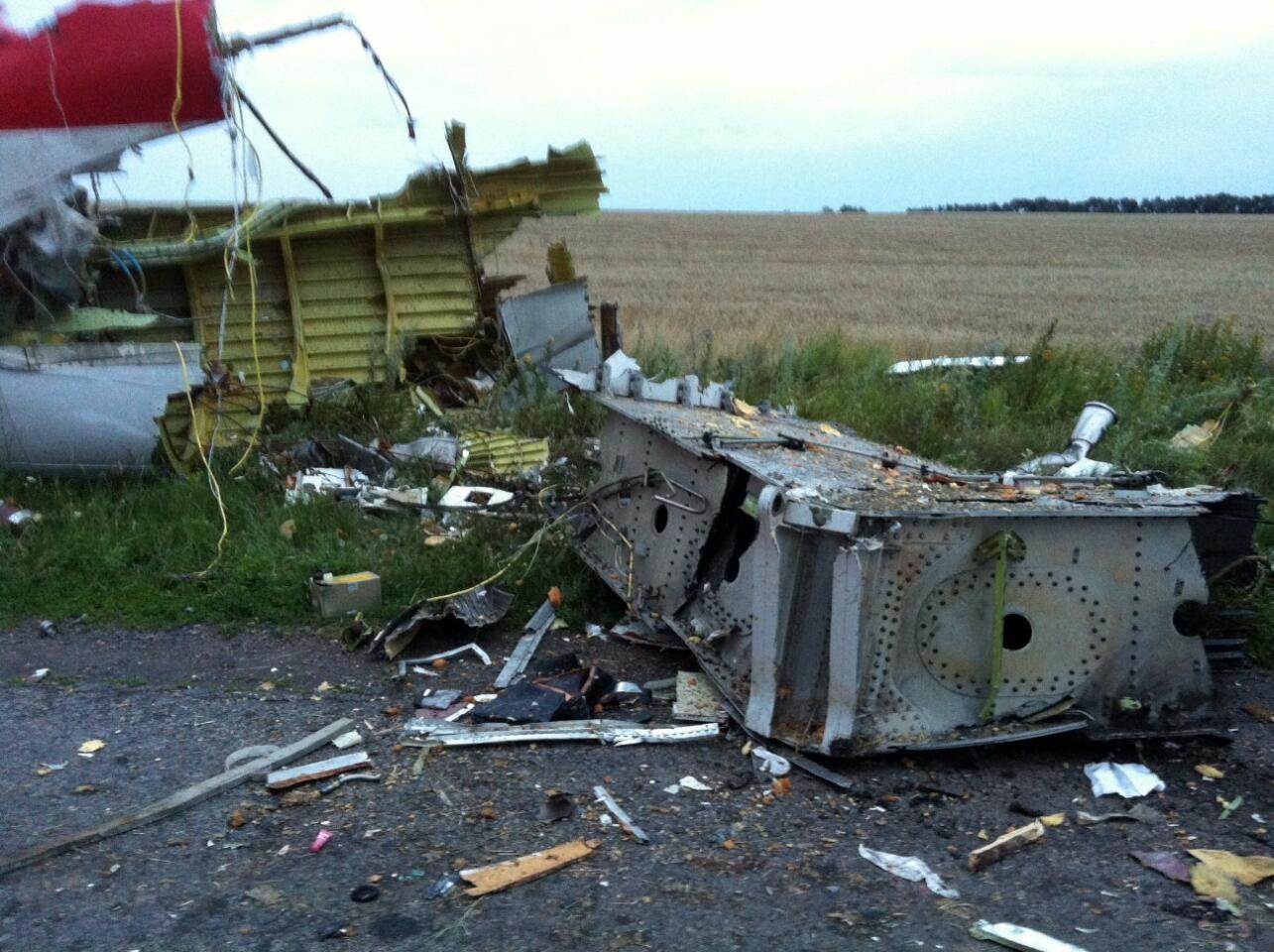 Malaysia Airlines jet crashes in Ukraine