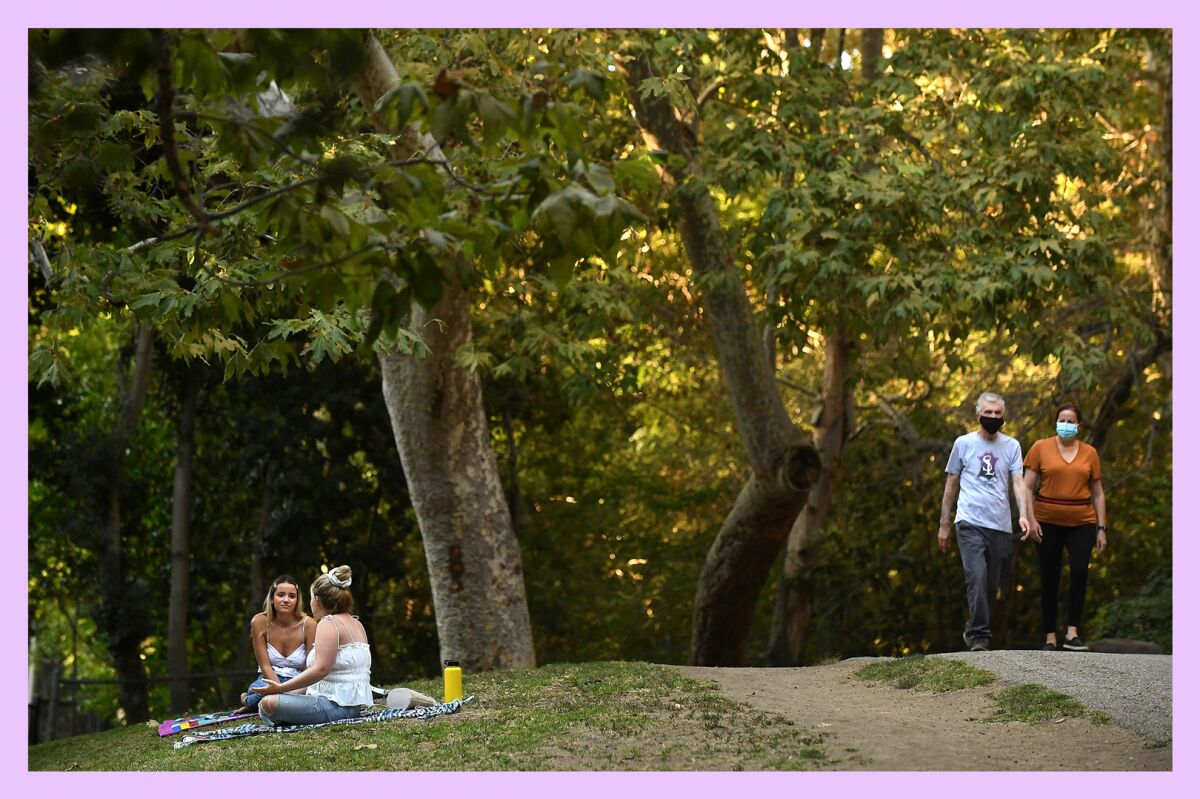 Groups of folks walk and picnic in Griffith Park.