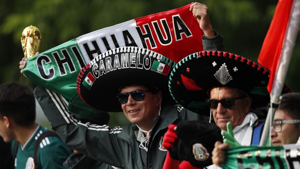 A Mexico fan cheers as his team boards a bus after training session in Moscow.