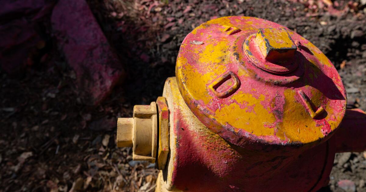 LAFD did not remind DWP of more than 1,000 fire hydrants that need repair LAFD did not remind DWP of more than 1,000 fire hydrants that need repair