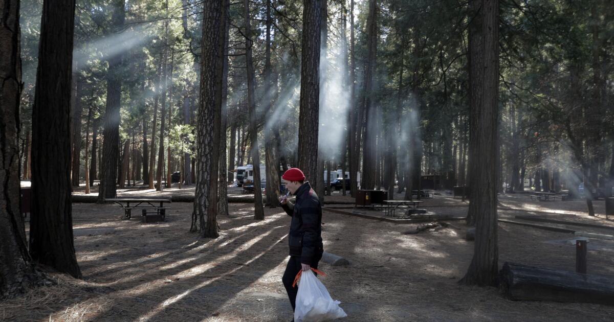 All of Yosemite's campgrounds will be open this summer for the first time since 2019