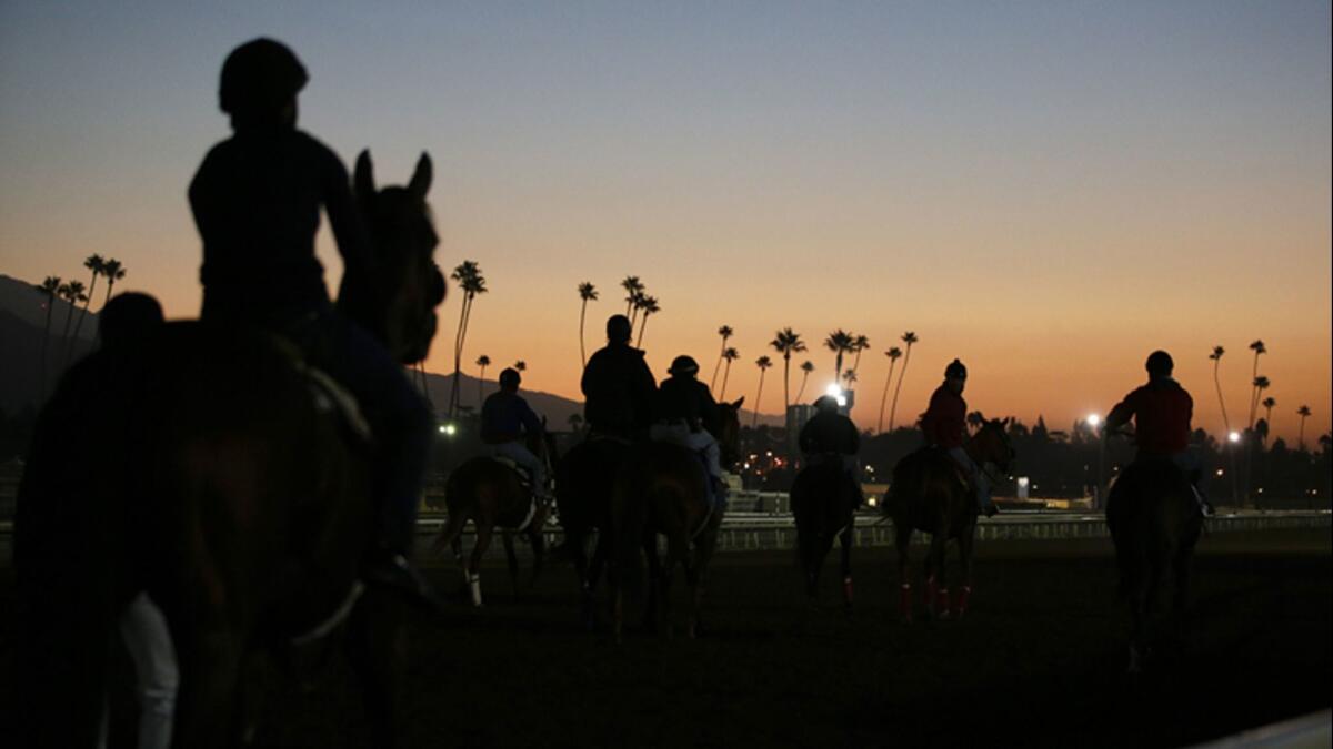 Santa Anita has canceled races through March 29 because of horse safety concerns.
