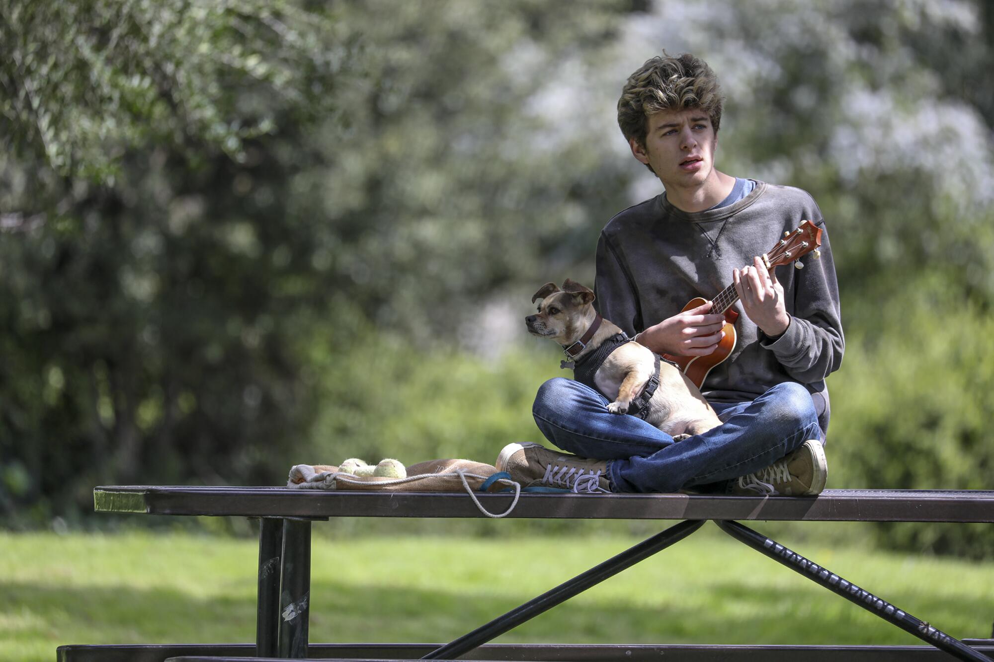 Sebastian Bachman, with dog Chuck Norris, plays ukulele in Claremont's Larkin Park. 