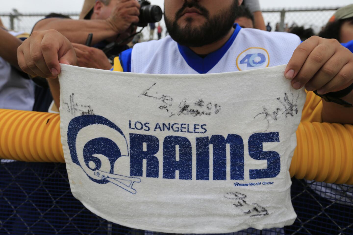 Rams fan