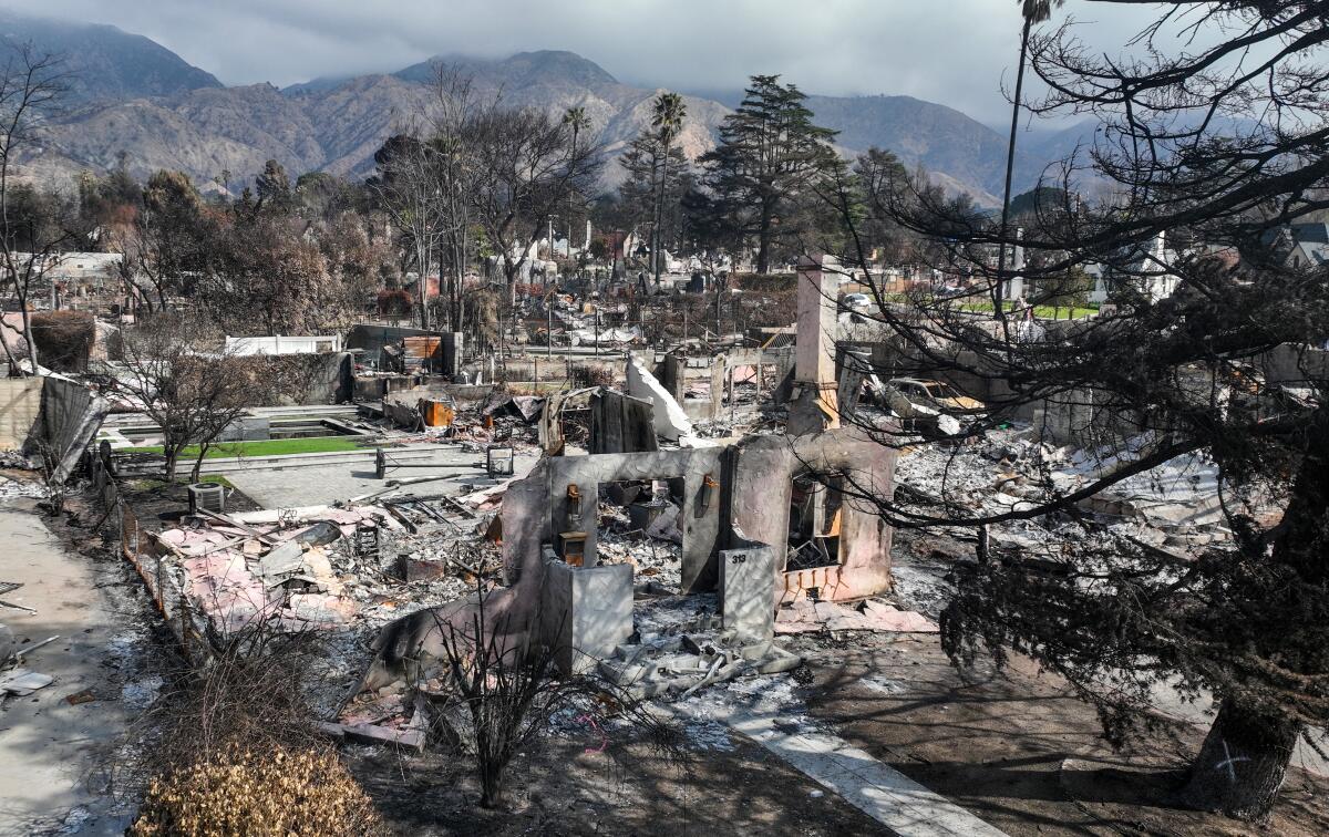 A chimney extends from the rubble of a burned home. Nearby are burned trees and vegetation.