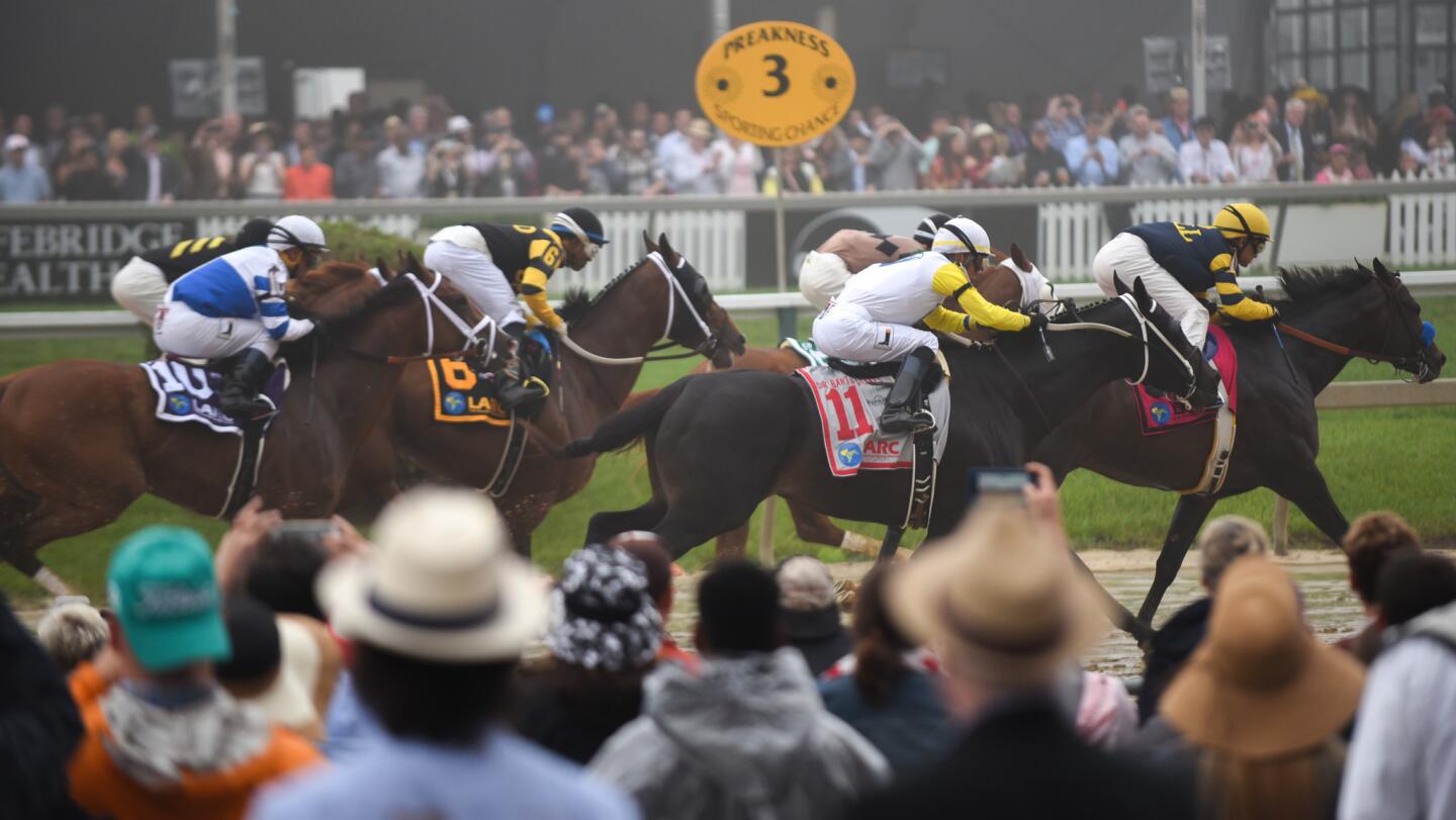 #8 Ax Man wins Race 12 at the Preakness Stakes