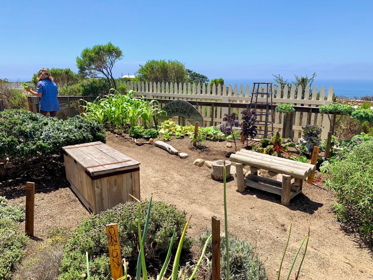 Outside and adjacent to the Point Loma Lighthouse there is a replica of a 19th-century kitchen garden. 