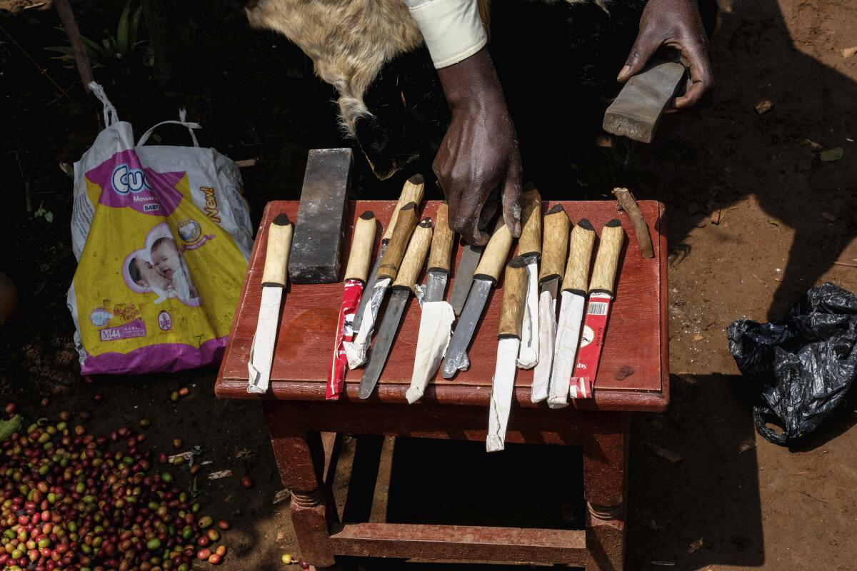 A hand reaches for one of the knives on a small table while the other holds a sharpening stone