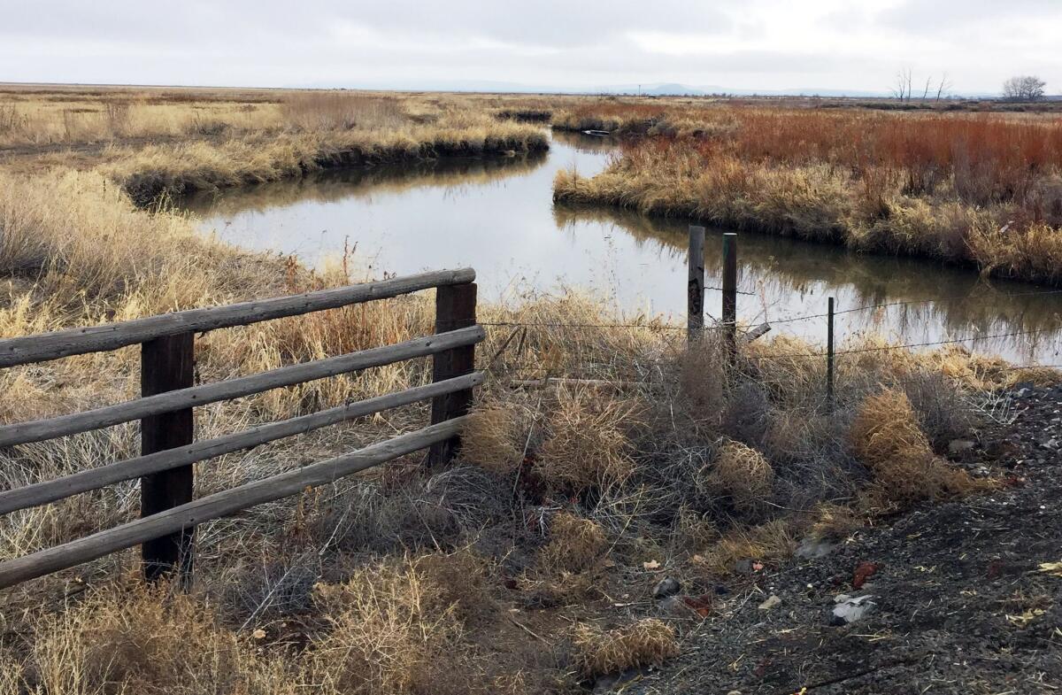A stream meanders through a portion of the Malheur National Wildlife Refuge outside Burns, Ore., that was closed to the public during an armed occupation.