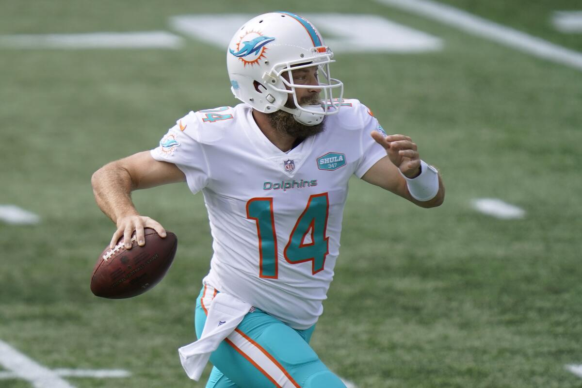 miami dolphins quarterback