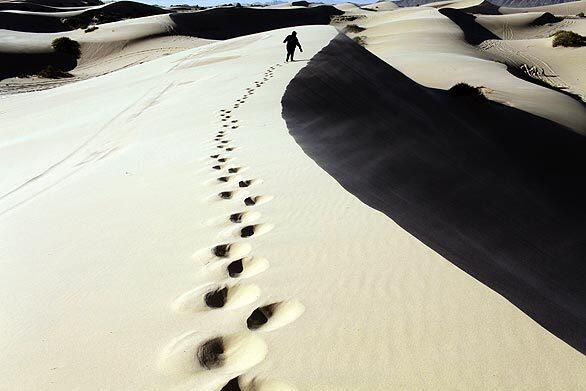 Desert footprints