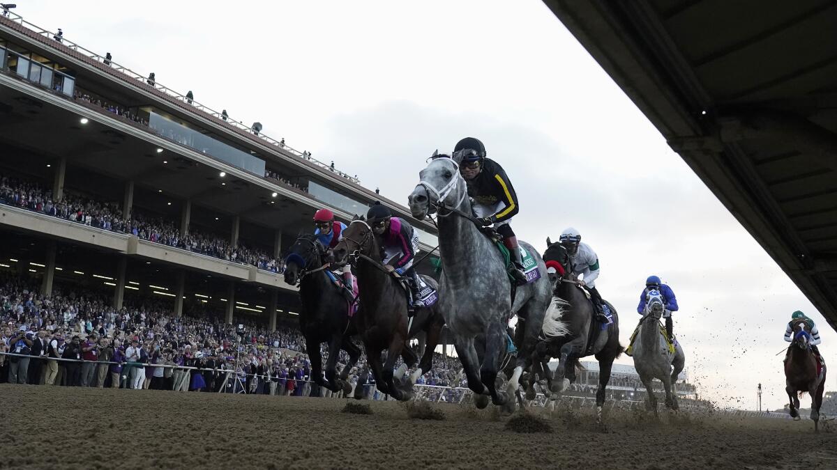 Joel Rosario rides Knicks Go, foreground, to victory during the Breeders' Cup Classic race at the Del Mar racetrack in Del Mar, Calif., Saturday, Nov. 6, 2021. (AP Photo/Gregory Bull)