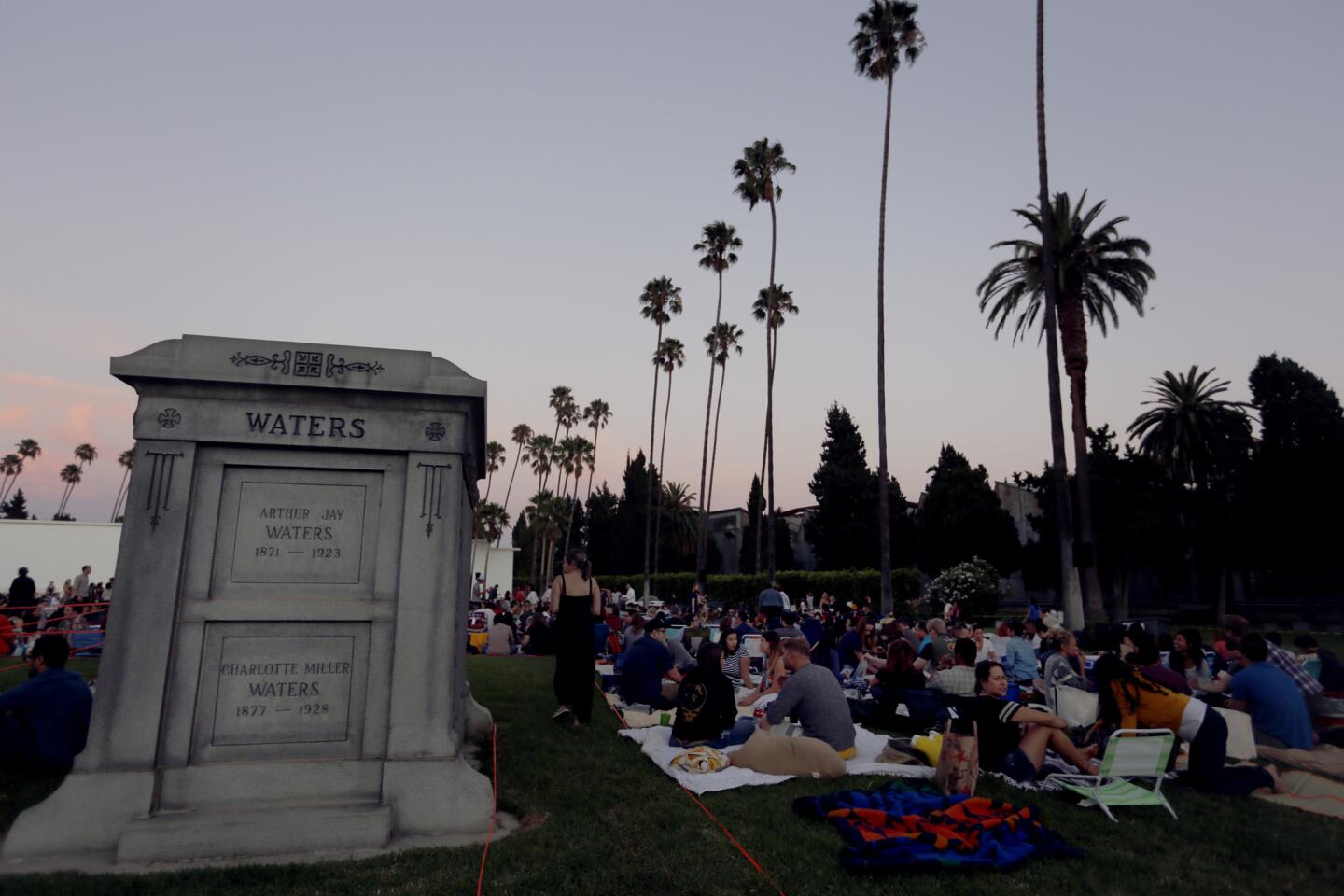 John Wyatt and the Hollywood Forever Cemetery screening series