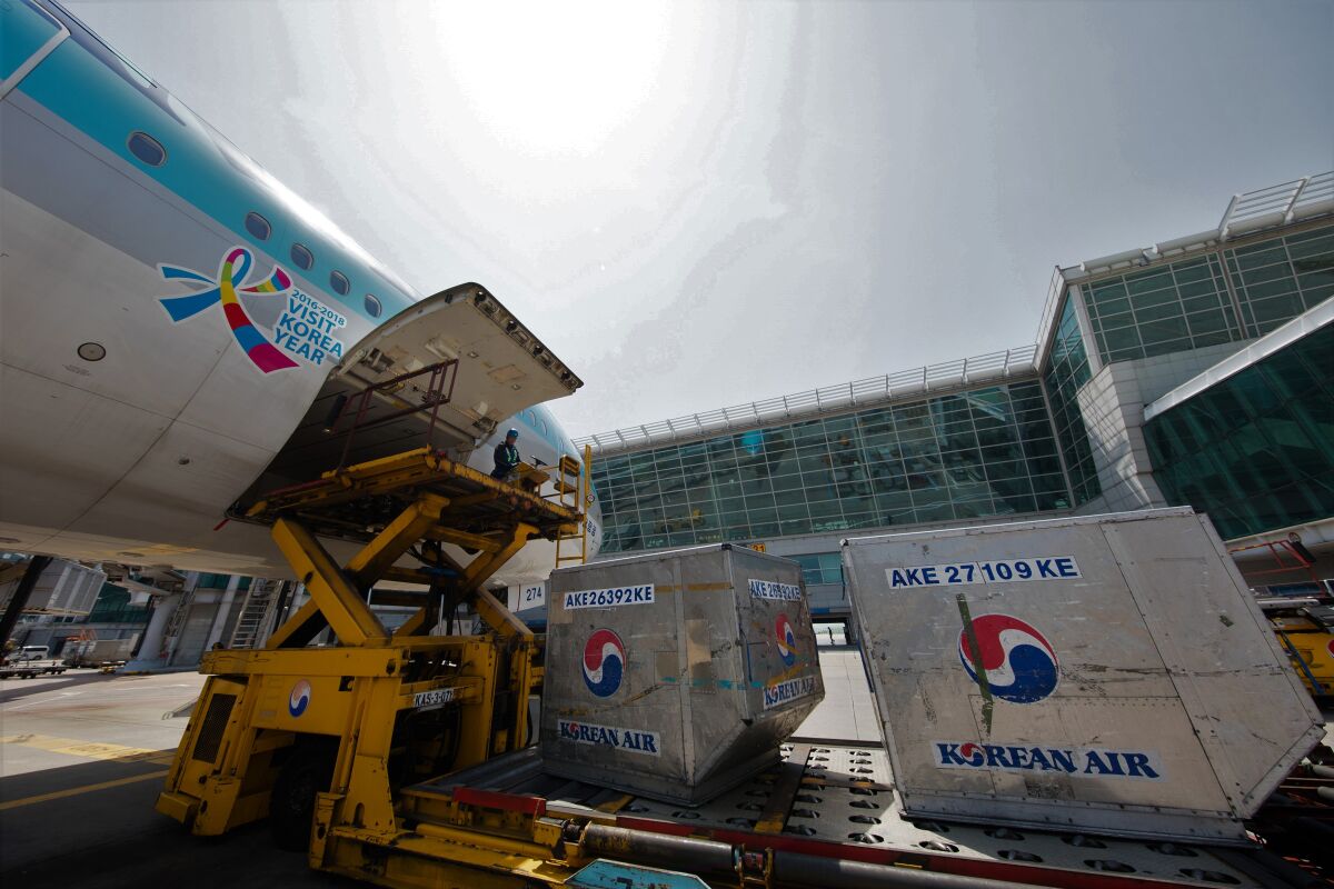 Korean Air has converted passenger jets into cargo-only flights.