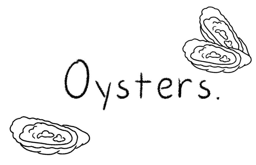 illustration of oysters