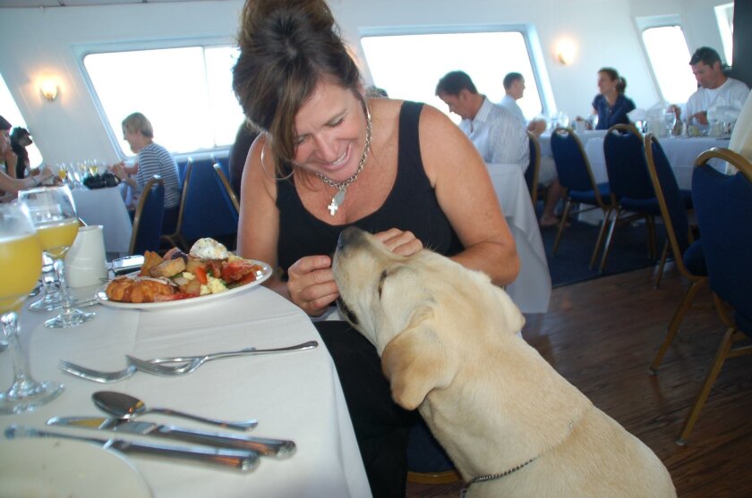 Treats abound for pets and their owners on the Oct. 19 Bow Wow Brunch Cruise from Hornblower, which benefits the Helen Woodward Animal Center in Rancho Santa Fe.