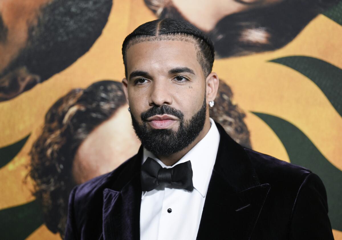 A man with braided black hair and a beard posing in a dark velvet suit