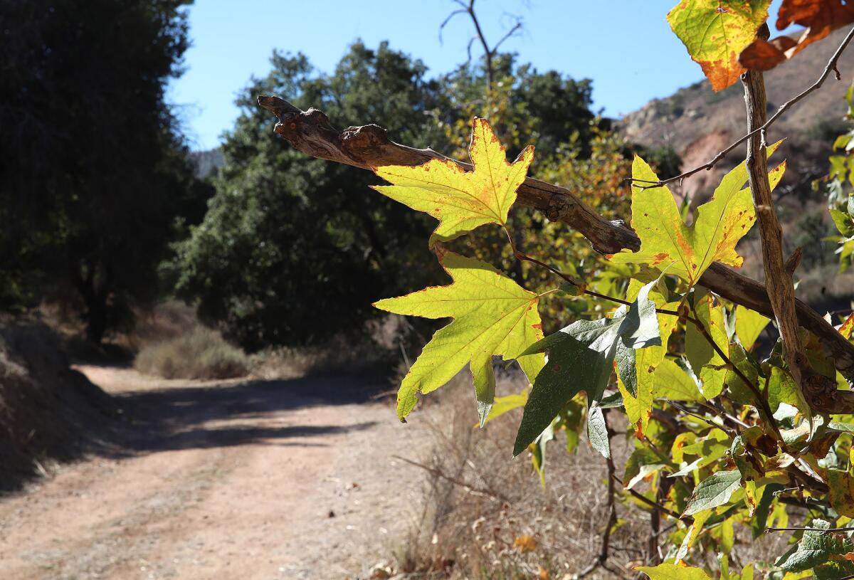 The woodlands walk of the Gypsum Canyon Wilderness debuted to the public on Tuesday.