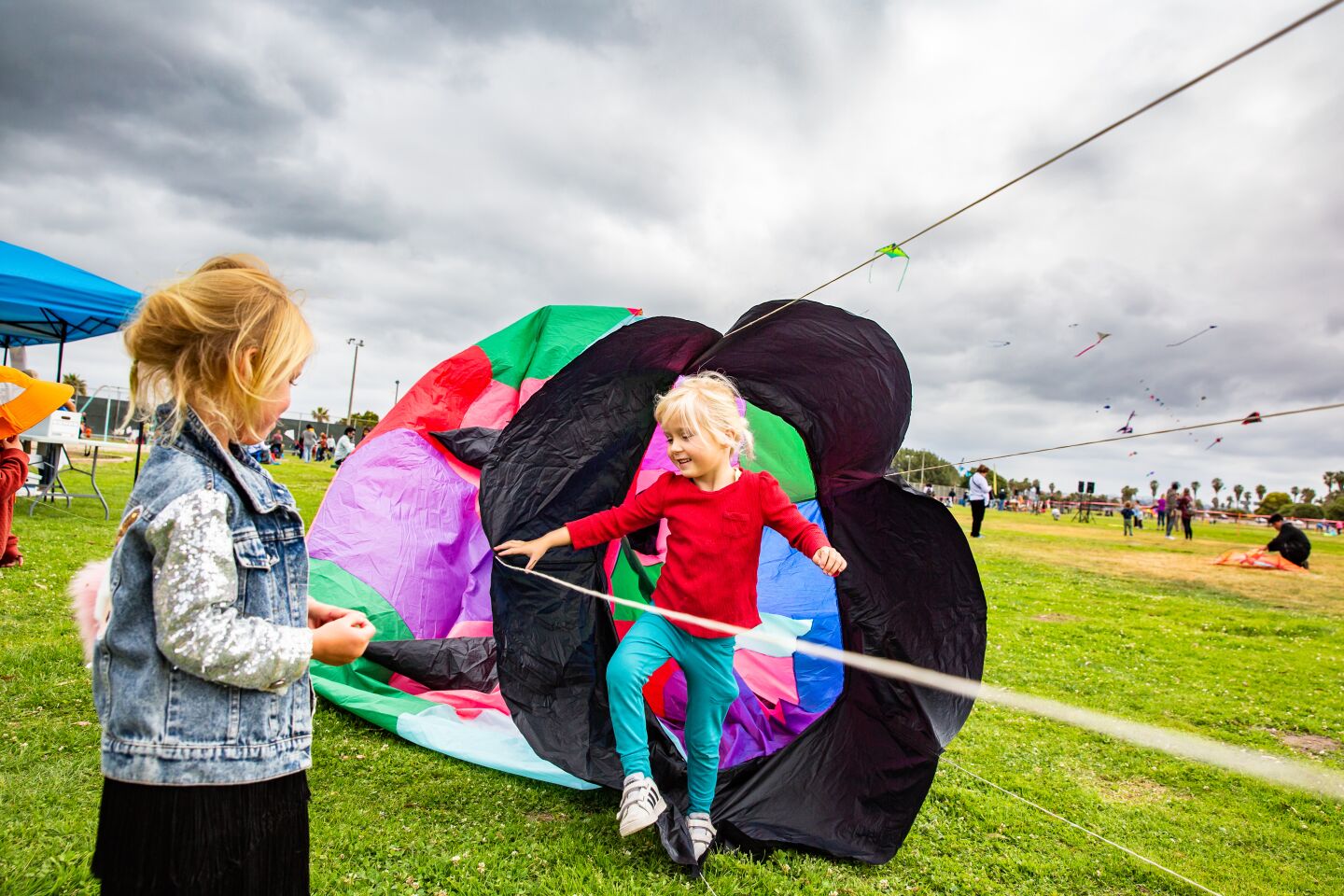 Photo gallery OB Kite Festival gets things looking up, up and away
