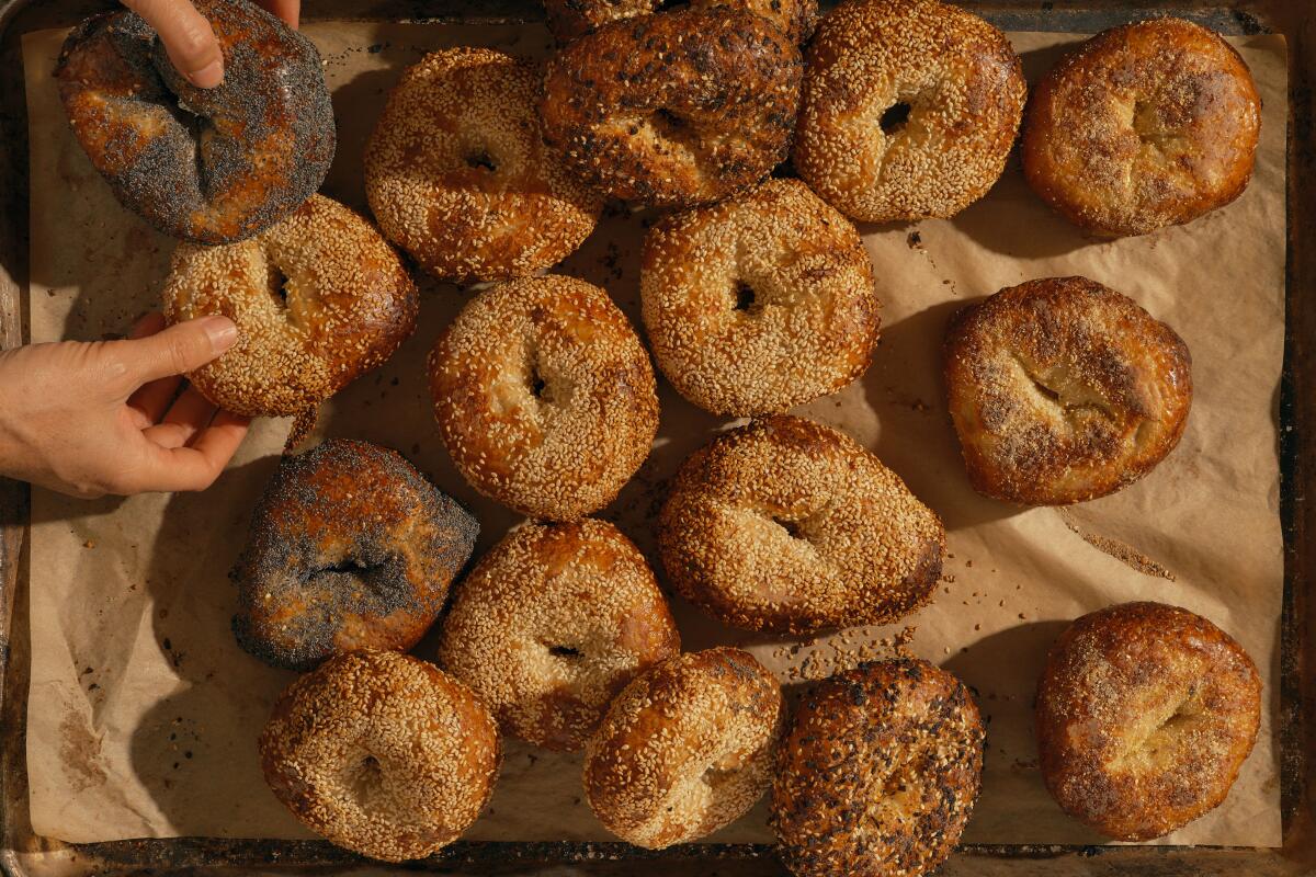 LOS ANGELES , CA - OCTOBER 10: Courage Bagels on Monday, Oct. 10, 2022 in Los Angeles , CA. (Shelby Moore / For The Times)