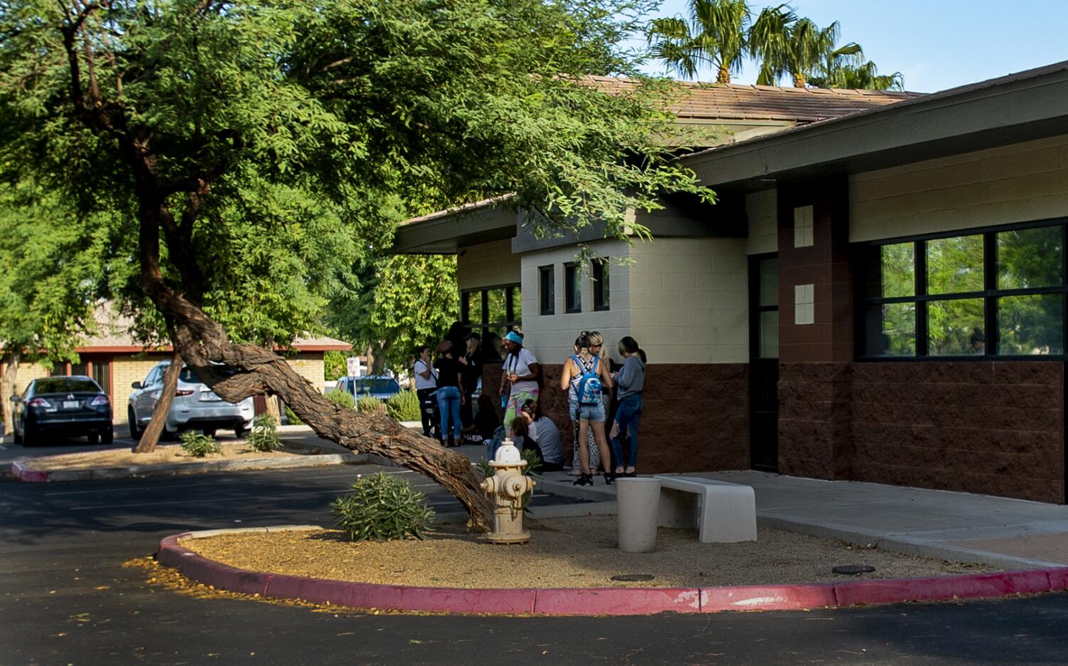 Arizona banned abortion. What it means for the 2024 election 1
