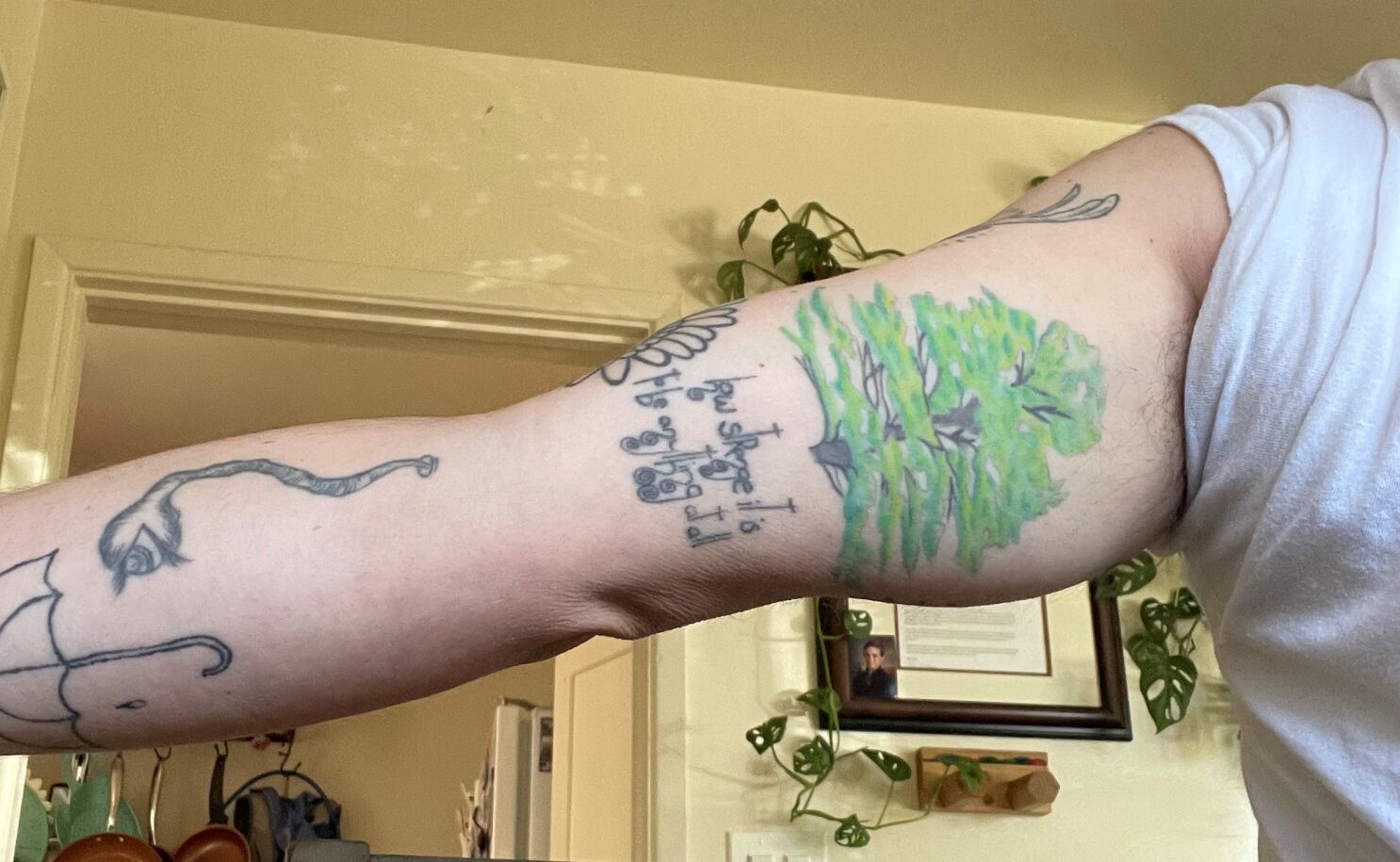 Opinion: My first tattoo is a loblolly pine tree, like the one my parents  planted for me as a baby. - The San Diego Union-Tribune