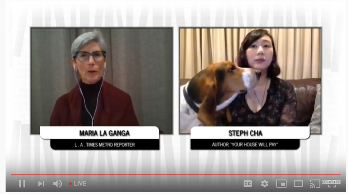 (LR)- Maria La Ganga, Basset Tazısı Milo ve Steph Cha, Los Angeles Times Kitap Kulübü sanal etkinliğinde canlı yayında