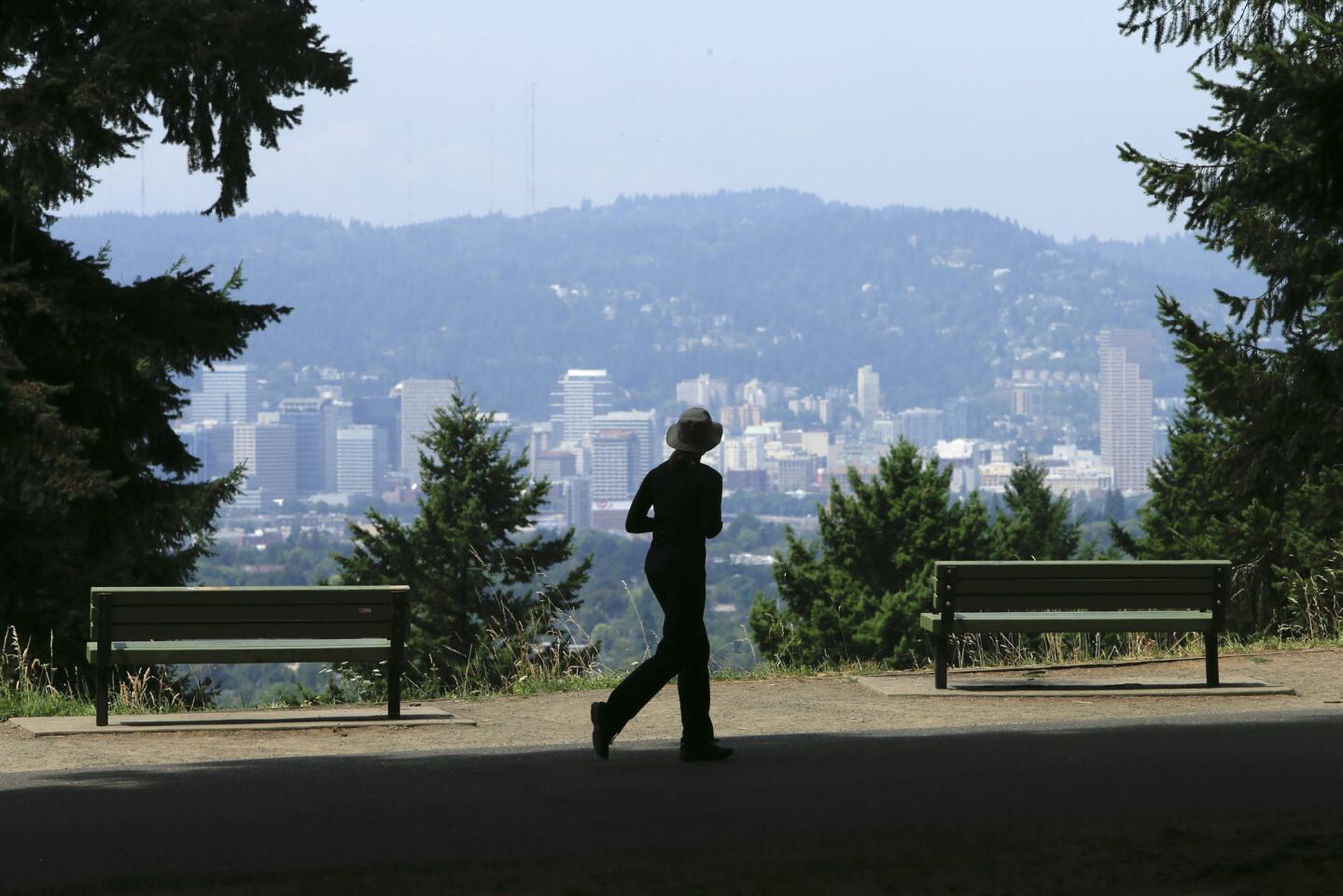 Portland skyline from park