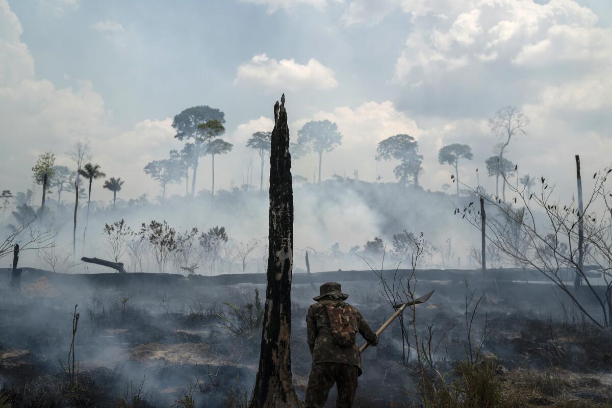 Brazilian soldier puts out fires in Amazon rainforest in September 2019