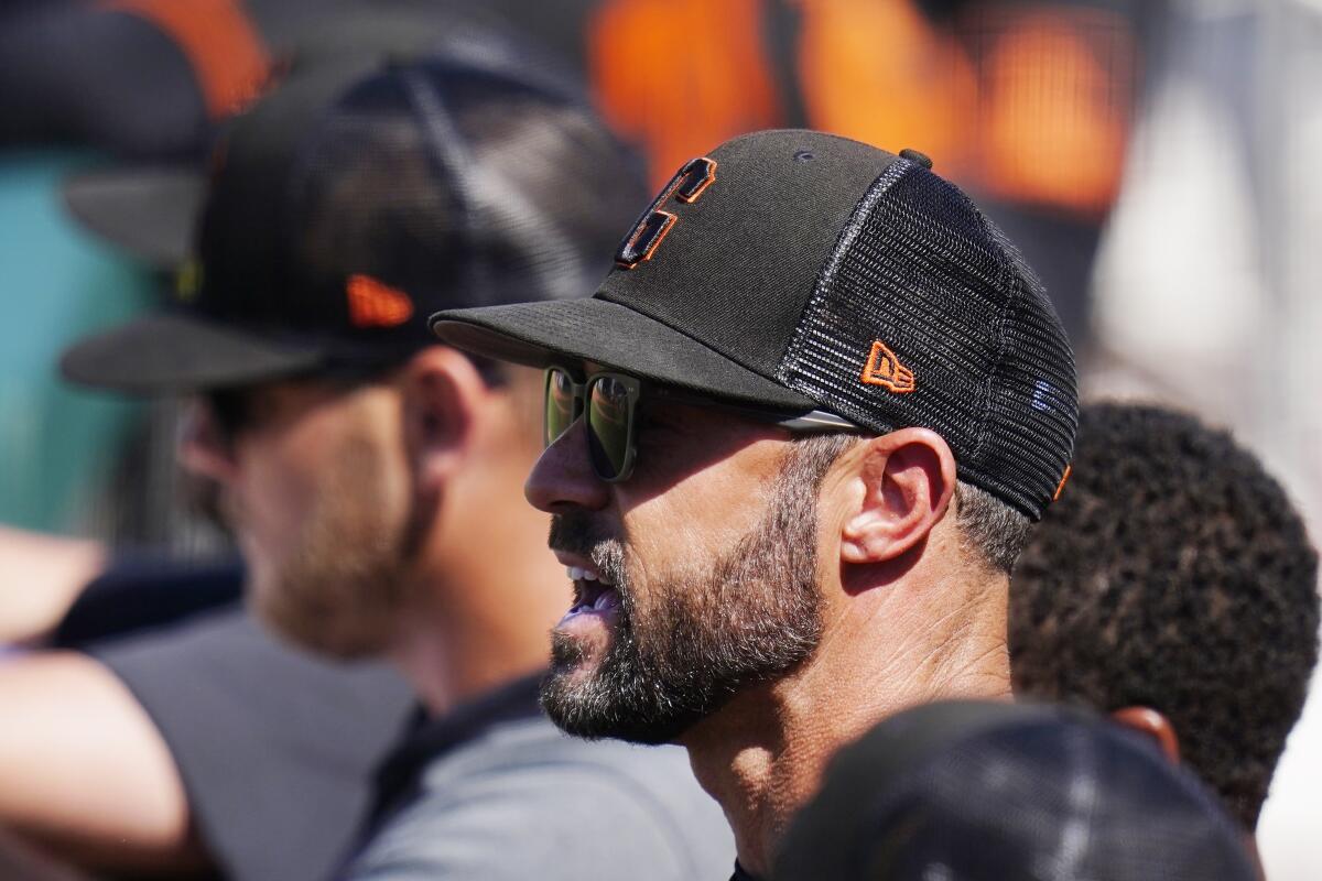 brandon belt captain hat