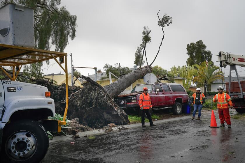 San Diego, CA - February 02: On Friday, February 2, 2024, in San Diego, CA, a tree-cutting crew used a crane and bucket truck to remove a large tree that fell onto the roof of one of the homes in North Park on Nutmeg Street. (Nelvin C. Cepeda / The San Diego Union-Tribune)