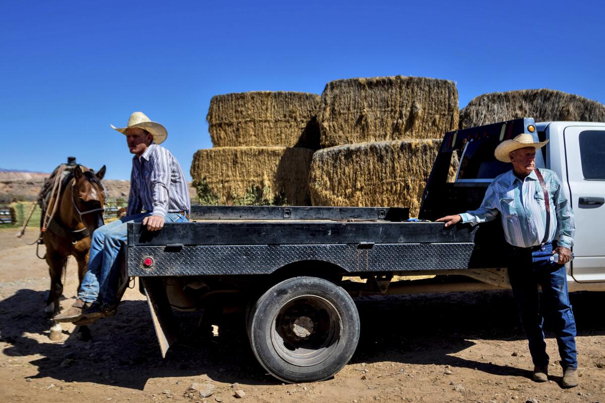 Cliven Bundy stands next to a truck while a ranch hand sits in its bed.