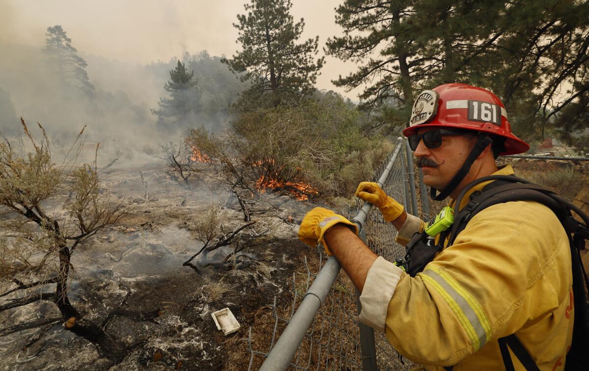 San Bernardino County fire captain looks over the charred landscape from the Bridge fire burning in Wrightwood.