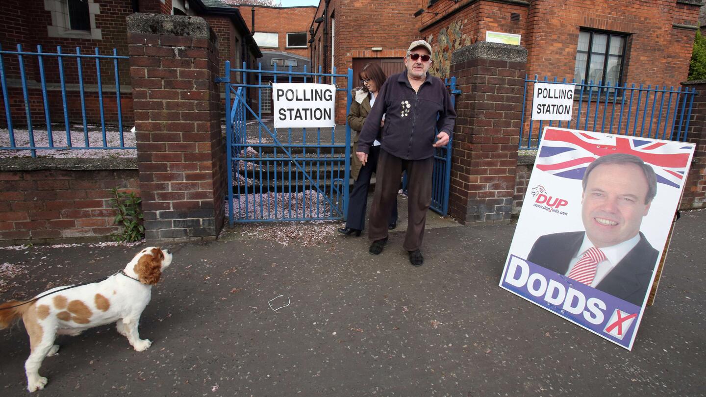 Dogs waiting at polling stations