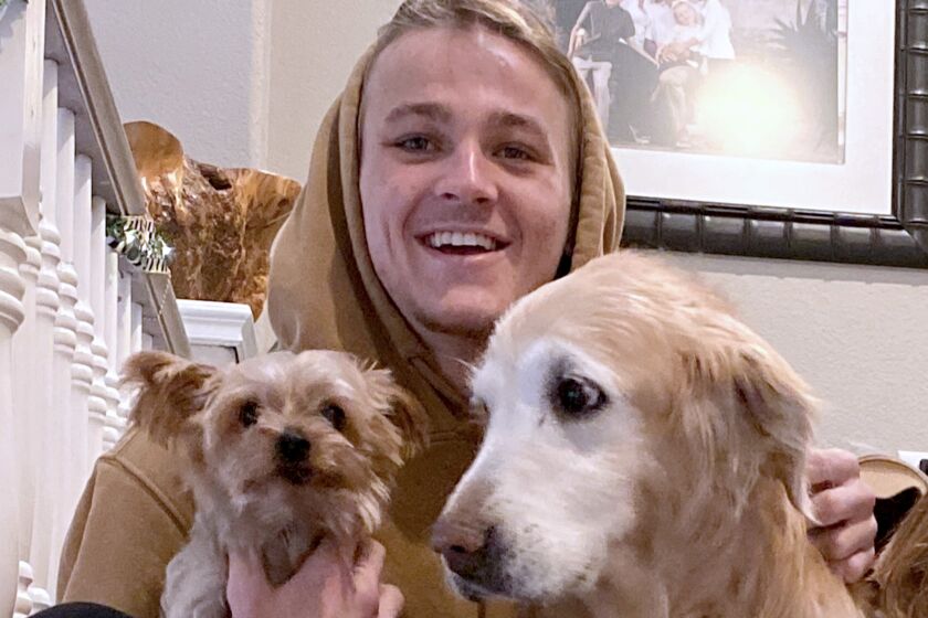 A smiling man wearing a hoodie sits on a home's stairs holding two dogs, a small terrier and a golden retriever.
