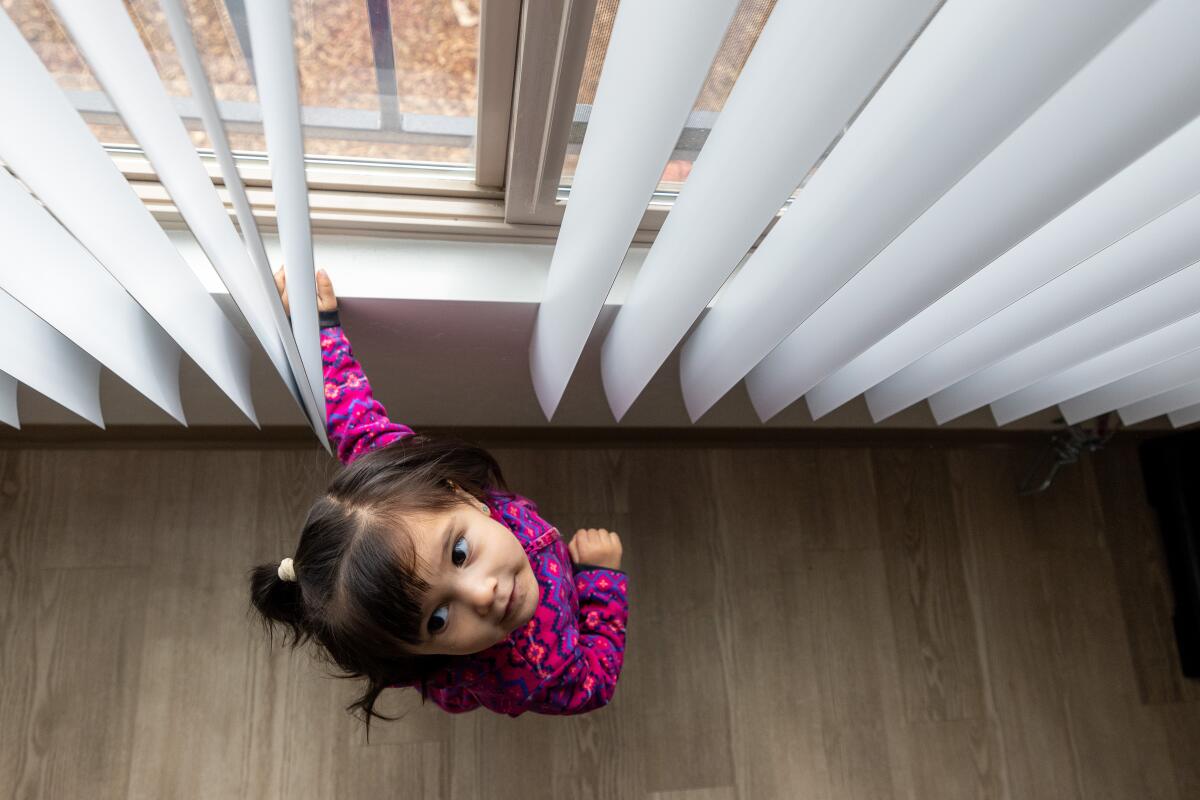 An excited child opens window blinds. 