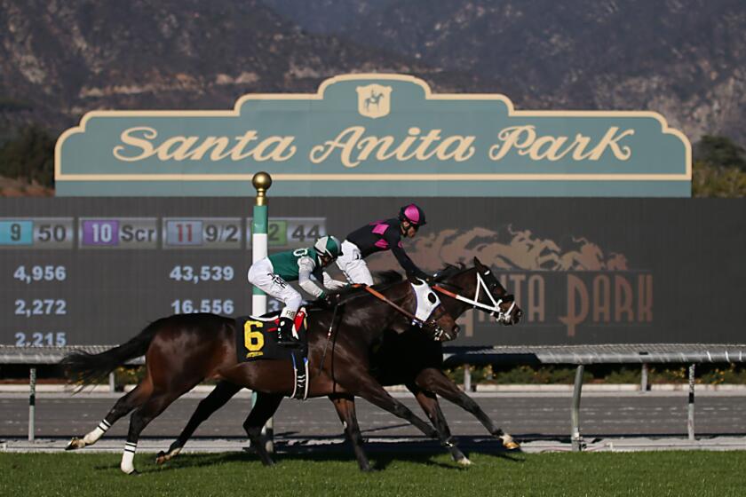 Trainer Dan Blacker suspended 90 days after 527 violations, already appeals  - Los Angeles Times