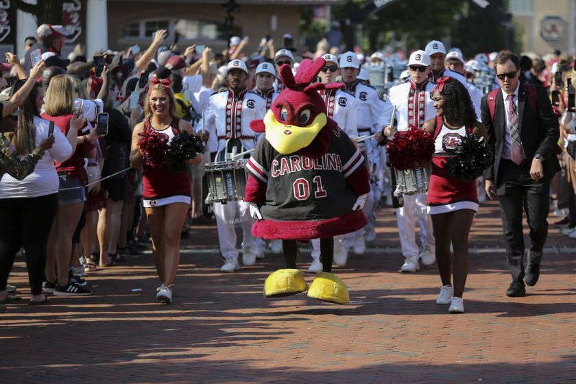 The South Carolina mascot and the marching band lead the Gamecock walk before an NCAA college football game against Georgia on Saturday, Sept. 17, 2022 in Columbia, S.C. (AP Photo/Artie Walker Jr.)