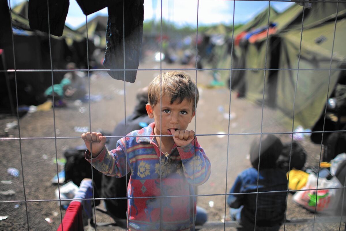 A child looks out from a migrant holding camp at the Hungarian border with Serbia on Sept. 12, 2015.