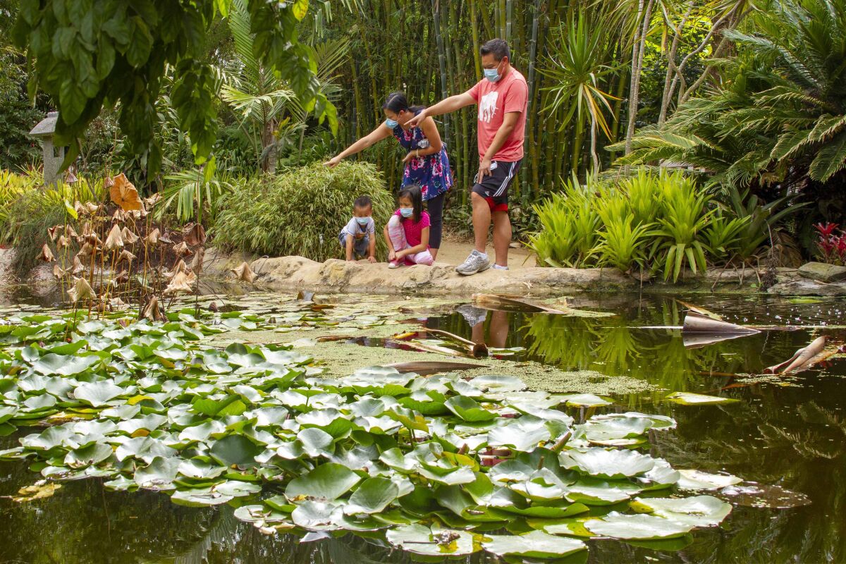 The San Diego Botanic Garden will reopen children's areas with additional safety measures.